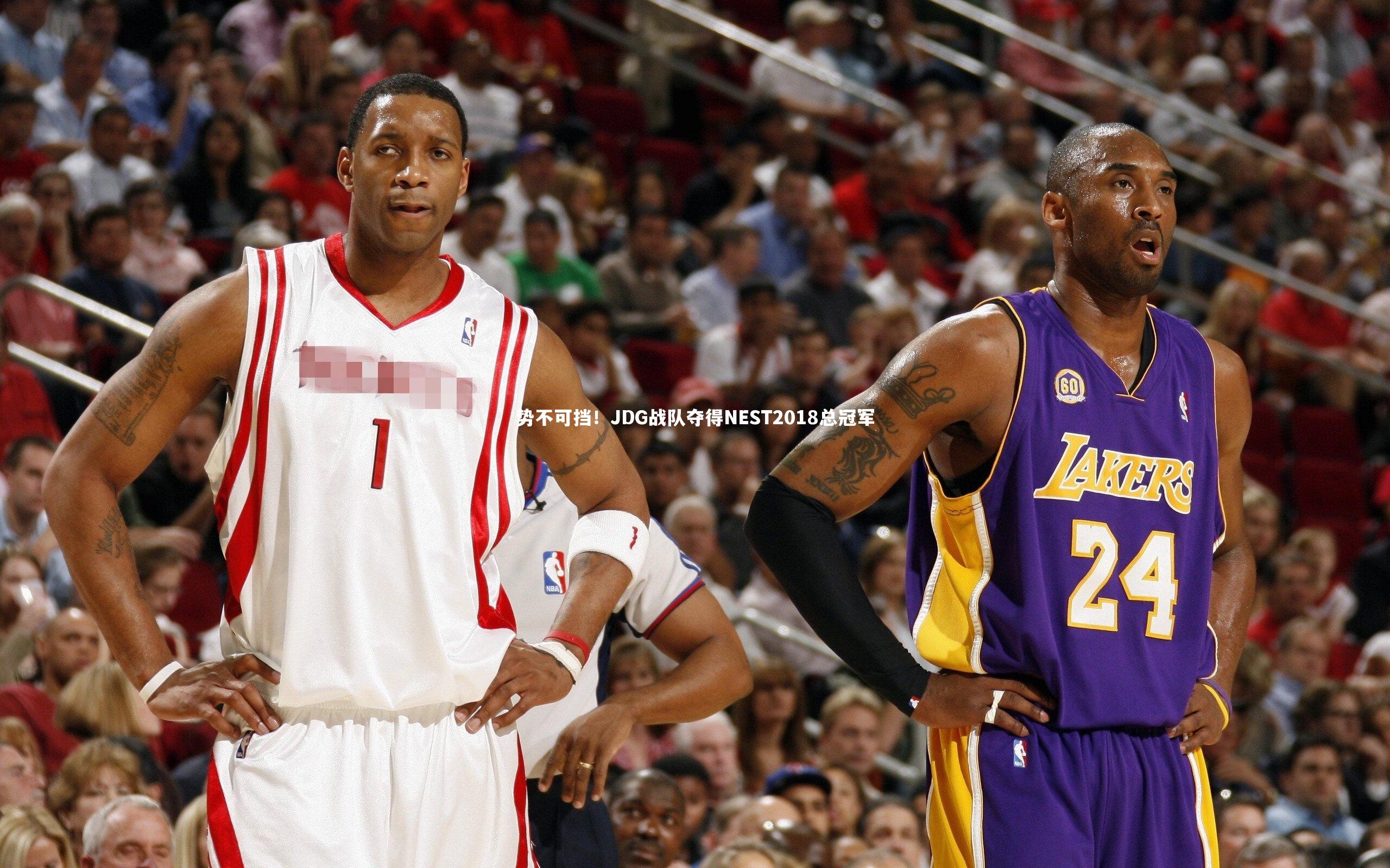 势不可挡！JDG战队夺得NEST2018总冠军