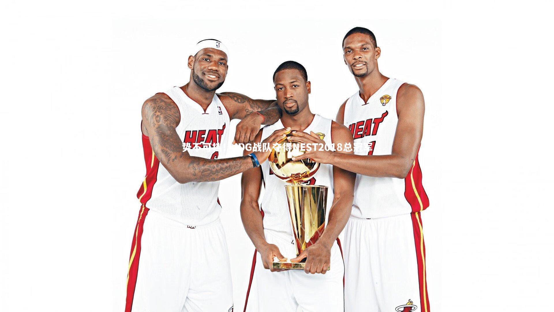 势不可挡！JDG战队夺得NEST2018总冠军